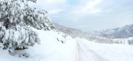 &nbsp;Ледени дни започнаха от събота