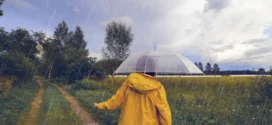 Meteo Bulgaria: Дъждове и гръмотевични бури идват след продължителната суша